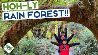 Explore the Hoh Rain Forest  Best Trails in Olympic National Park
