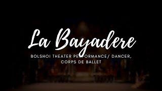 La Bayadere Bolshoi Theater 2013