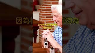 打破迷思！飲食新觀念：彈性飲食比三餐更健康