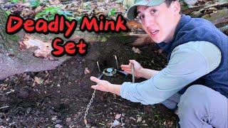 TRAPPING MINK  SIMPLE & EFFECTIVE {HOW TO}