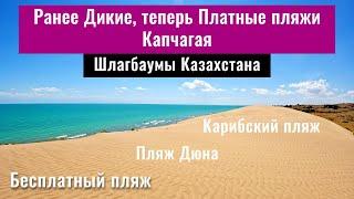 Платные пляжи на Капчагайском водохранилище. Дикие пляжи Капчагая. Казахстан 2024 год.