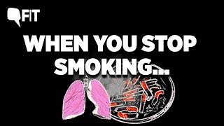 What Happens to Your Body When You Stop Smoking?  The Quint