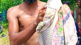 Amazing Big Monstar Rui Fish Hook Video