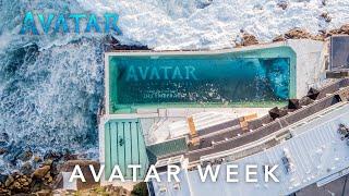 Avatar The Way of Water  Australian Avatar Week