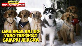 Petualangan Kelima Anak Anjing Yang Mencari jalan Pulang  ALur Cerita Film SNOW BUDDIES 2008