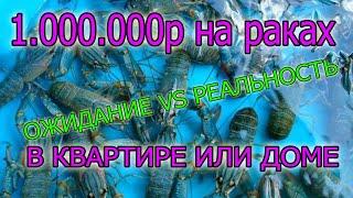 Разведение Раков дома или в квартире. АККР.