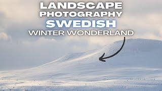 Winter Wonderland Landscape Photography in Sweden. OM System OM-1