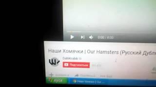 Наши Хомячки  Our HamstersРусский Дубляж