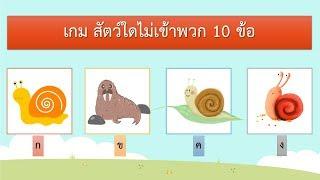 เกม สัตว์ใดไม่เข้าพวก 10 ข้อ  VGameKids