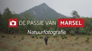 Natuurfotografie met Marsel van Oosten