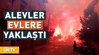 İzmirin Buca İlçesinde Başlayan Orman Yangını ile Mücadele Sürüyor  NTV