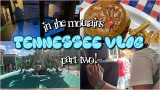 THEY GOT INTO A FIGHT  Tennessee Vlog pt.2 in the smoky moutains