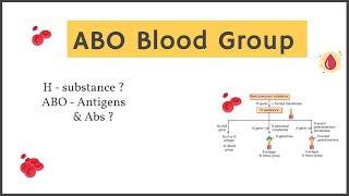 ABO Blood Group System  ABO Antigens and antibodies  Explained in Hindi