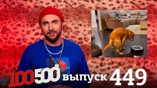 +100500  Выпуск 449