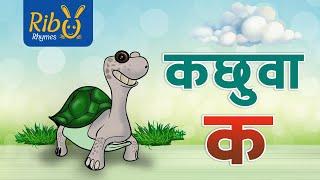 Kachuwa Ka Kharayo Kha  कछुवा क  Ka Bata Kachuwa - New Nepali Varnamala Kids Rhyme