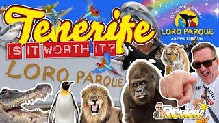 Tenerife 2020 Loro Parque - Is It Worth Visiting? All You Need To Know