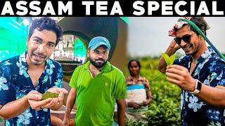 CHAI LOVERS DONT MISS THIS  Assam Tea Special Vlog