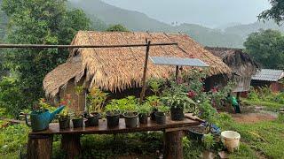 Trip to Mae HongSon mountain ️ village#Thailand