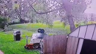 Tree falls on mower