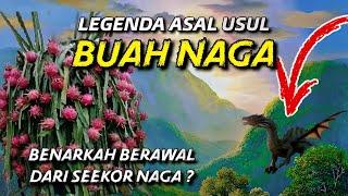 KISAH NAGA YANG DIKUTUK OLEH PARA DEWA-LEGENDA ASAL USUL  BUAH NAGA