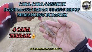 CARA-CARA CANGKUK DAN PASANG UMPAN UDANG HIDUP MEMANCING DI PANTAI - TEKNIK SURFCASTING