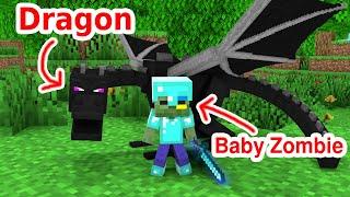 Monster School  Baby Zombie Become a Hero - Sad Story - Minecraft Animation