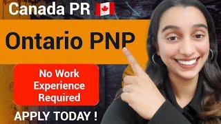 Ontario PNP  Canada PR   OINP International Student Stream.