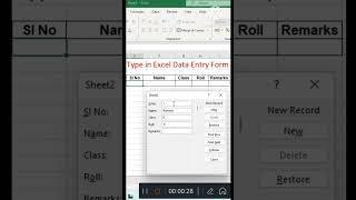 Excel easy Automatic Data Entry Form Professional