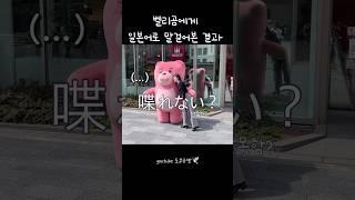 사람 가리는 곰