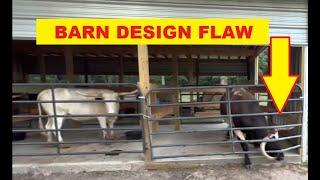 Lester Longhorns Tex Open Door Policy - Review Of Barn Design & Possible Issues