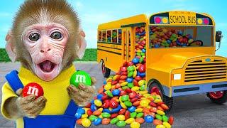 KiKi Monkey drives full of Mixing M&M Candy School Bus and ASMR rainbow fruit jellyKUDO ANIMAL KIKI