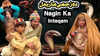 Nagin Ka Inteqam Da Zahme Maar Badal  New Funny Video 2024 by Tuti Gull Vines