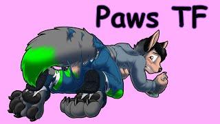 Paws Transformation Part 2