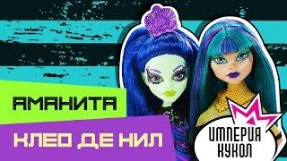 Обзор набора кукол Monster High Аманита и Нефера де Нил Nefera de Nile & Amanita Nightshade