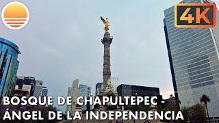 CDMX Bosque de Chapultepec to Ángel de la Independencia in Mexico City Mexico Walk with me