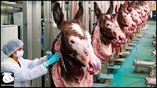 Cómo China Cría Millones De Burros Para Obtener Leche Y Carne - Procesamiento De Carne De Burro