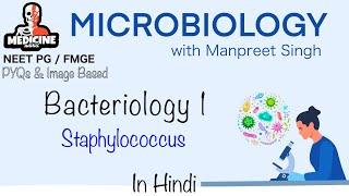 Microbiology 10  Bacteriology in Hindi  Staphylococcus  Microbiology in Hindi Neet FMGE BSc 2024