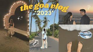 the goa vlog *2023*  the ultimate guide