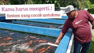 pengenalan kolam nila RAS terbaik