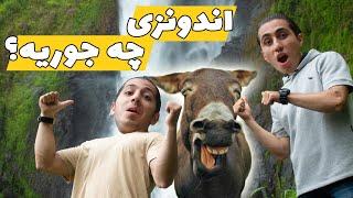 ولاگ مسافرت اندونزی - اندونزی چجوریه ؟ - اسب ها شبیه خرن  Indonesia Travel Vlog