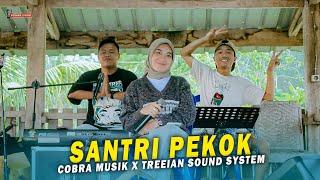 SANTRI PEKOK Versi TERBARU COBRA MUSIK LIVE RECORDING BY TREEIAN SOUND SYSTEM X PUSAKA MUSIK