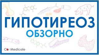 Гипотиреоз обзорно механизм развития основные симптомы принципы лечения