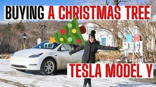 How to use a Tesla to buy a Christmas Tree We tied a Christmas tree to the roof of our Model Y