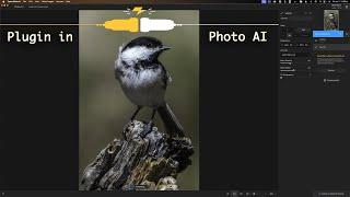 The PROPER WAY to Use PHOTO AI as a PLUGIN