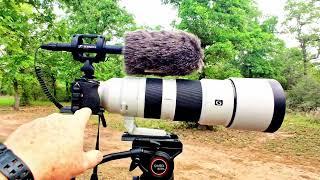  Sennheiser MKE 600 Shotgun Microphone. Fantastic for Nature Video 