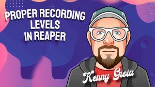 Proper Recording Levels in REAPER