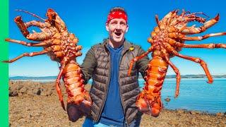 Australia’s GIANT Rock Lobsters Hand Caught Tasmanian Seafood