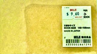 MUJI Stationery Haul in Singapore & Going To Tokyo International Pen Show 2023