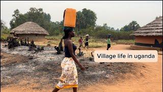 Tyical African Village life #shortvideo #lifestyle #villagelife #africa