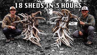 18 ELK SHEDS IN 3 HOURS  SHEDHUNT EP 10